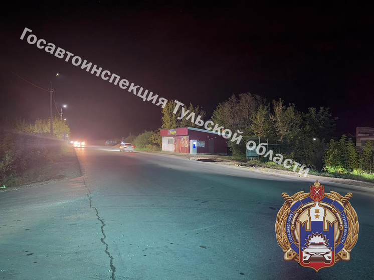 В Тульской области зумер на «Омоде» снес переходившую дорогу пенсионерку
