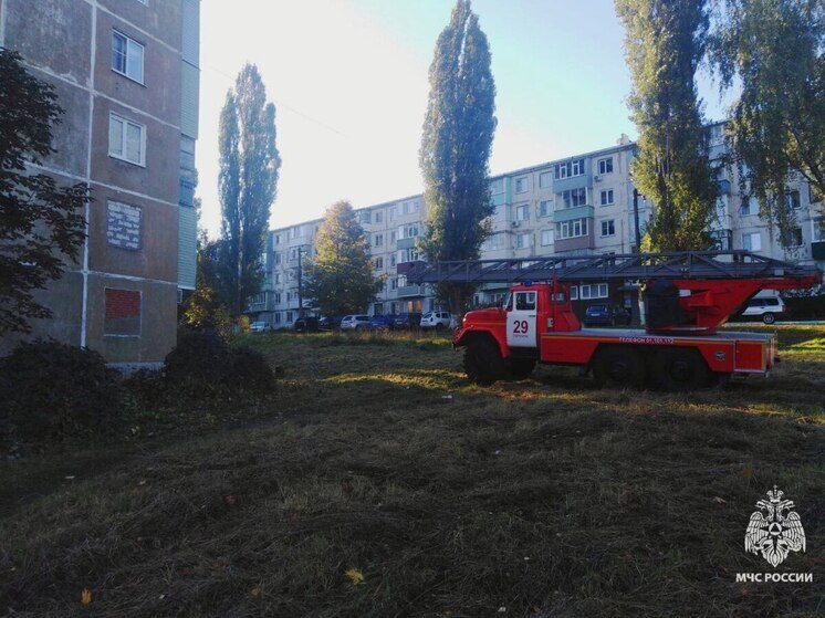 Старушку и 7-летнего ребенка вытащили из горящей хрущевки в Ефремове