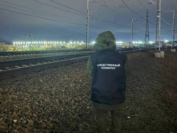 Поезд насмерть сбил мужчину в Нижегородской области