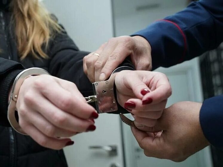 Жительницу Запорожской области арестовали на 10 суток за уклонение от выполнения обязательных работ