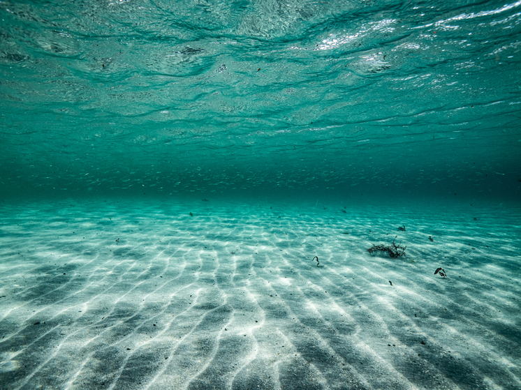 Глубоководные бактерии открыли способ самоуничтожения раковых клеток