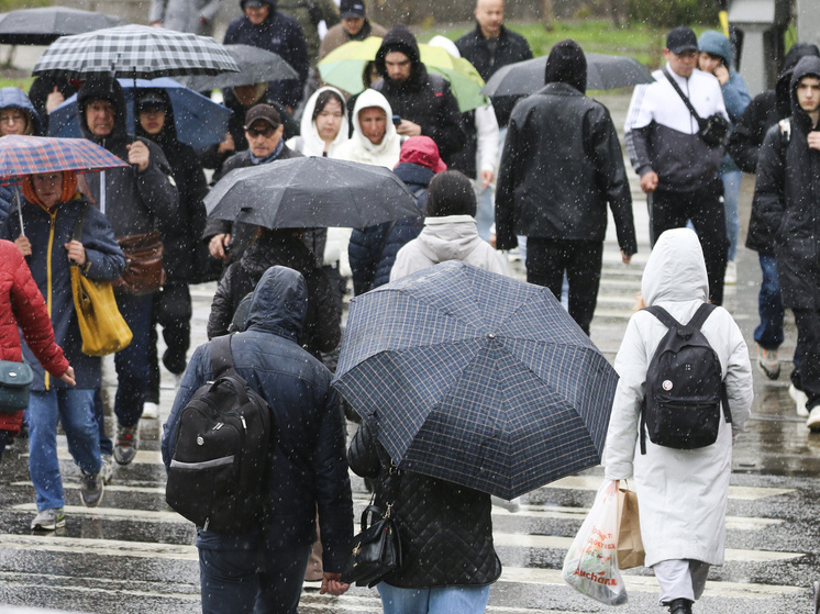Климатолог Терешонок: Москву ждут более частые периоды повышенного атмосферного давления