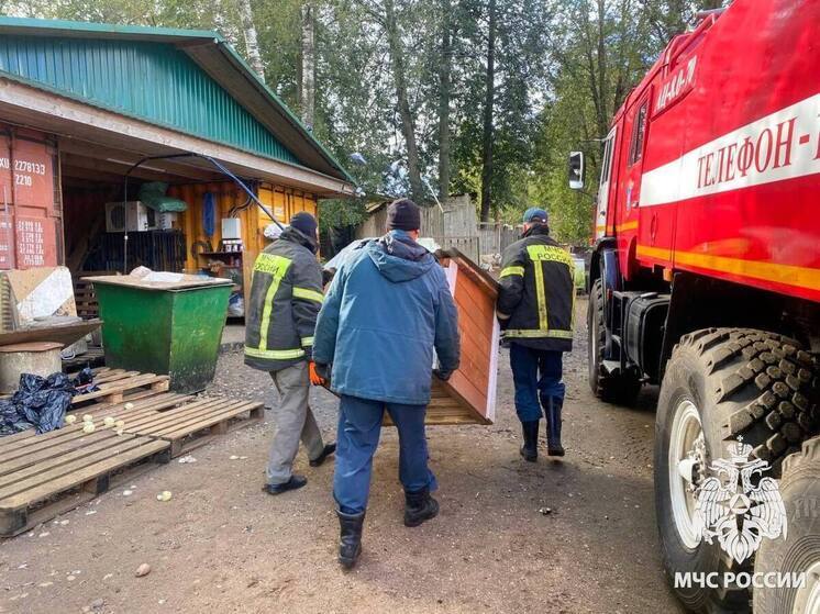 Спасатели помогли с благоустройством приюта для животных в Боровичах