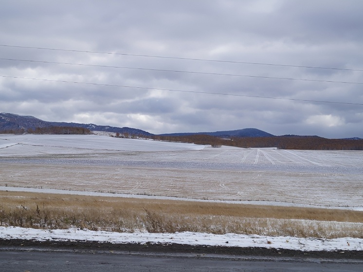 Уборочную кампанию приостановили из-за снега в двух районах Хакасии