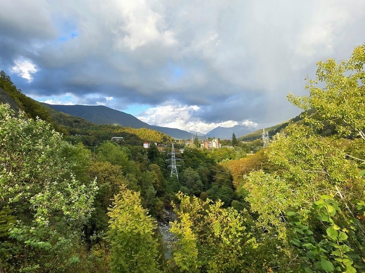 Ученые и волонтеры Сочи продолжают работу по защите старинных черкесских садов в Аибге