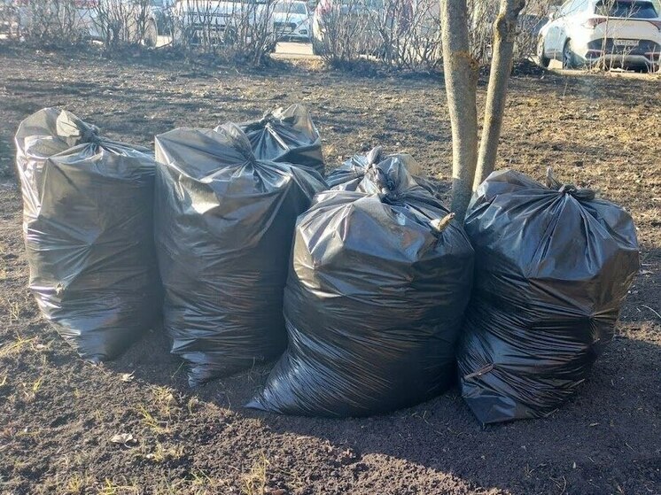 Региональный оператор получил предупреждение от Пензенского УФАС за нарушения в вывозе мусора