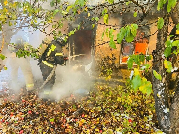 Огонь унес жизнь жителя Брединского округа