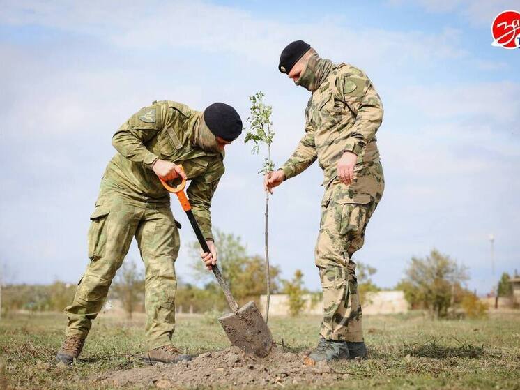 В Запорожской области заложили аллеи в честь годовщины воссоединения с Россией