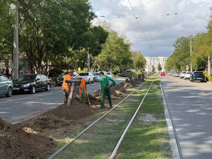 Коммунальщики Евпатории готовятся к осеннему этапу озеленения города