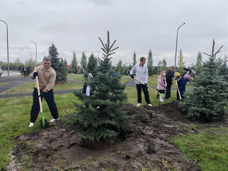 Тюменские школьники и дошколята высадят более 500 деревьев в рамках акции «Классное дерево»