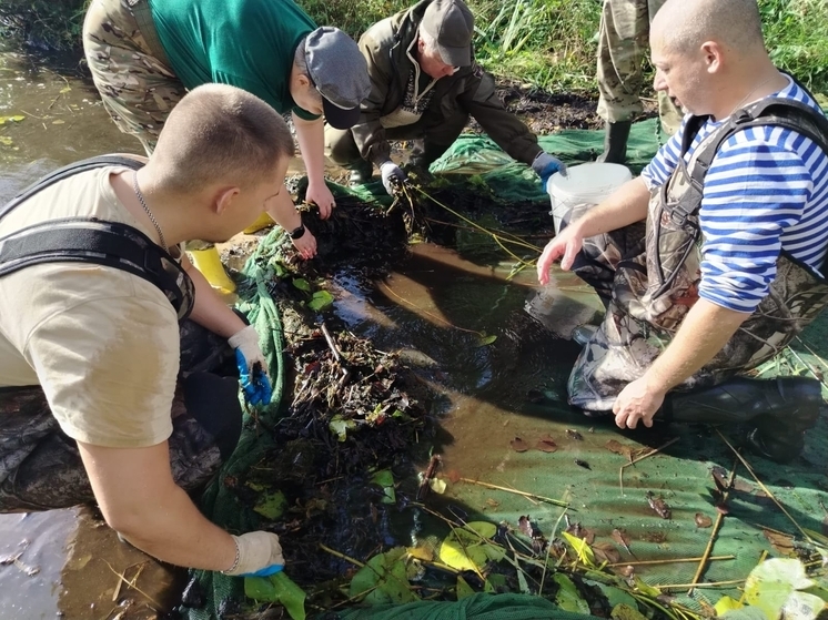 В Себежском нацпарке нашли редкую рыбу из Красной книги