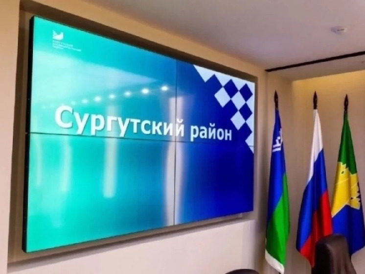 14,8 млн рублей получили на реализацию своих инициатив НКО Сургутского района