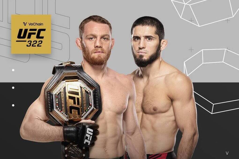 Махачев и Маддалена подерутся 16 ноября