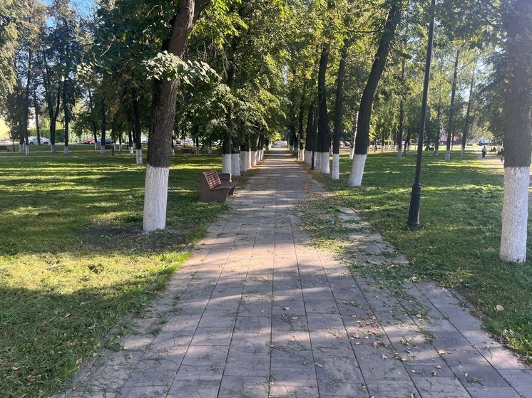 Орловцы могут выиграть 320 тысяч рублей в конкурсе субботников