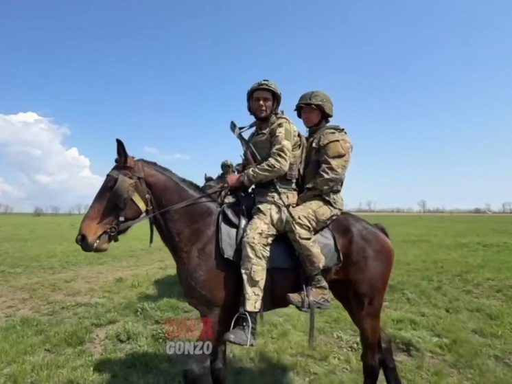 Военкор Пегов сообщил о применении кавалерийского штурма на СВО