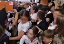 Учебный год в Иркутске начался очень неудачно: в одной из школ, где уроки накануне сократили до получаса из-за неработающей столовой, произошла массовая давка