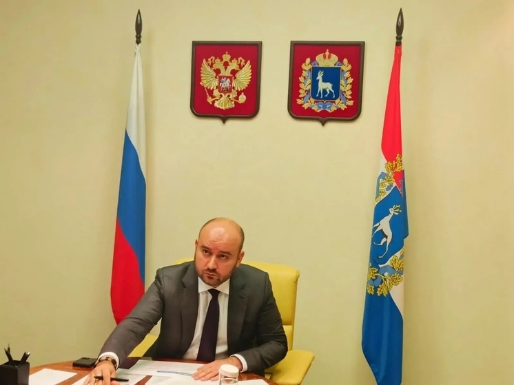 Новая структура: Правительство Самарской области возглавит заместитель губернатора