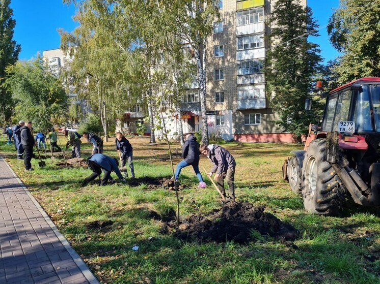 Жители Тамбова получили глоток свежего воздуха: высажены новые молодые деревья