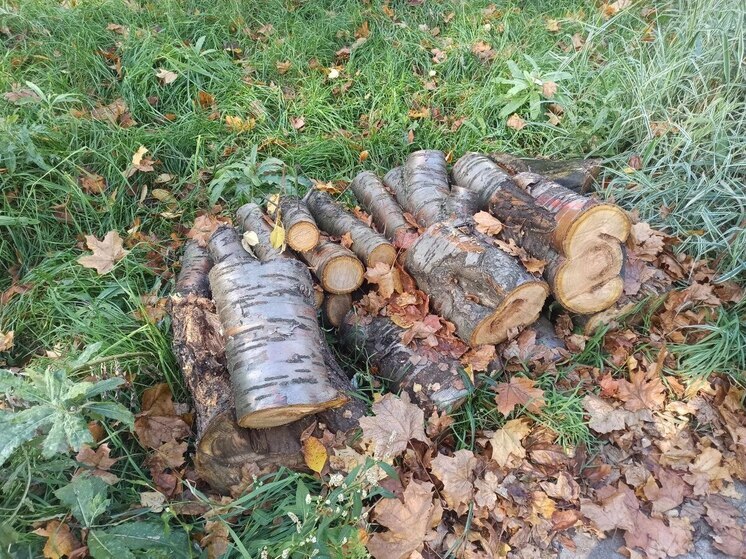 Ночные заморозки пришли в Костромскую область