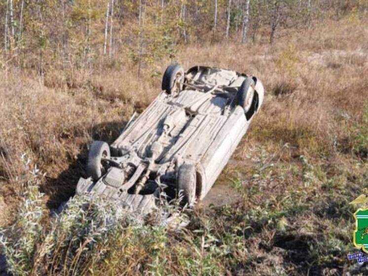 В ЕАО водитель опрокинул авто и скрылся с места аварии