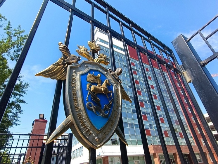 СКР считает слишком мягким приговор 15-летнему подростку, избившему двух детей