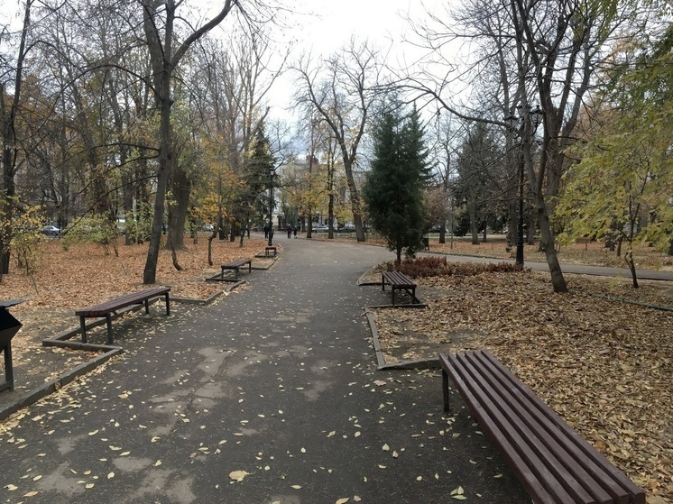 Первый день октября в Саратовской области будет солнечным