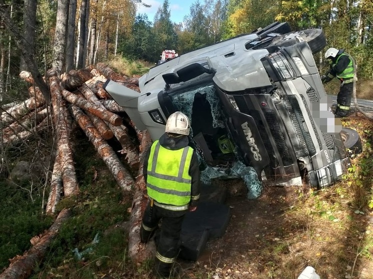 В Карелии лесовоз вылетел в кювет
