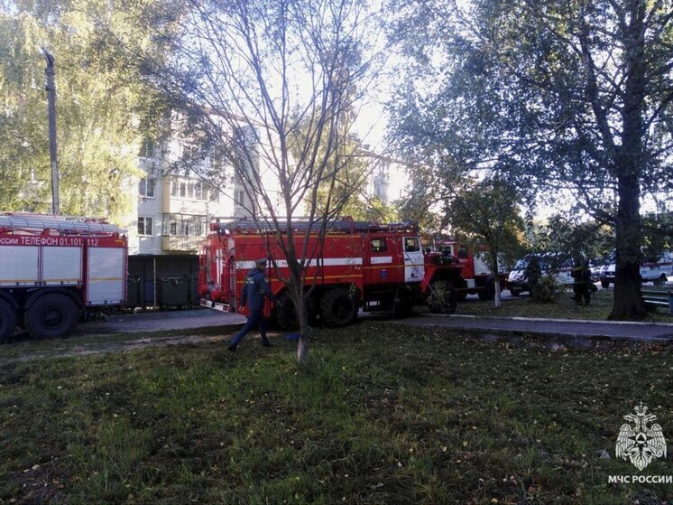 В Донском по неизвестным причинам загорелся грузовой автомобиль