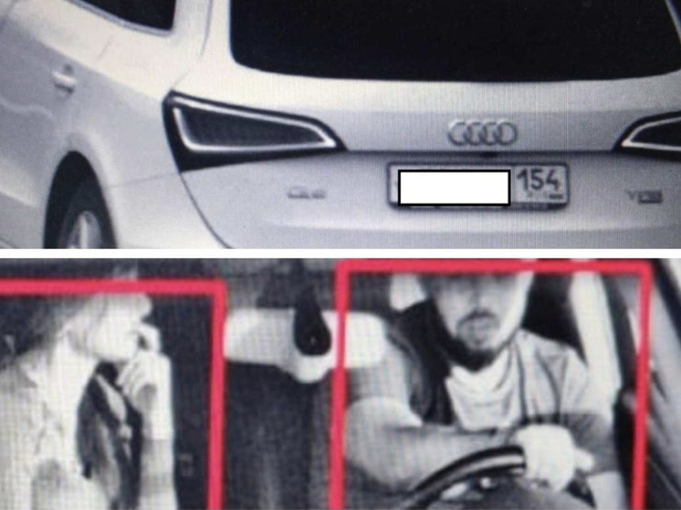 От застолья до потери Audi: как новосибирец лишился машины из-за цыган