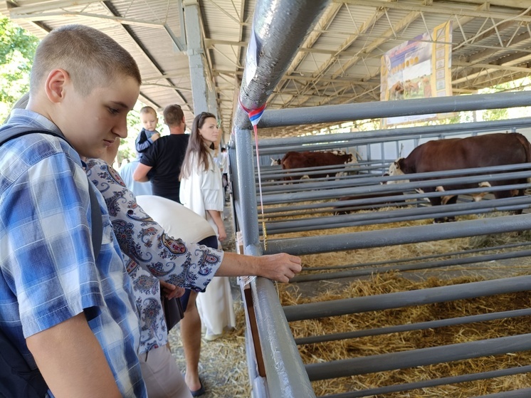 На Ставрополье стартовал обновленный проект по профориентации старшеклассников