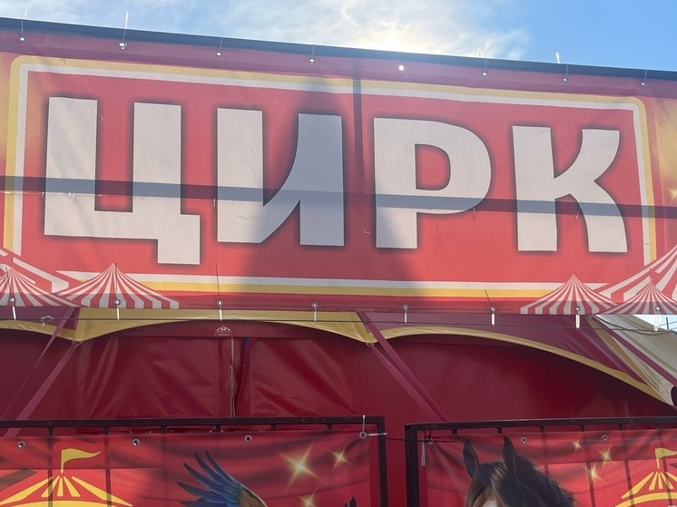 Донецкий цирк «Космос» получит статус федерального учреждения