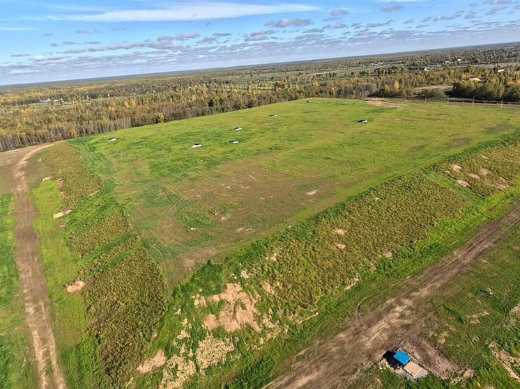Рекультивация свалки на улице Мудрова в Вологде завершена