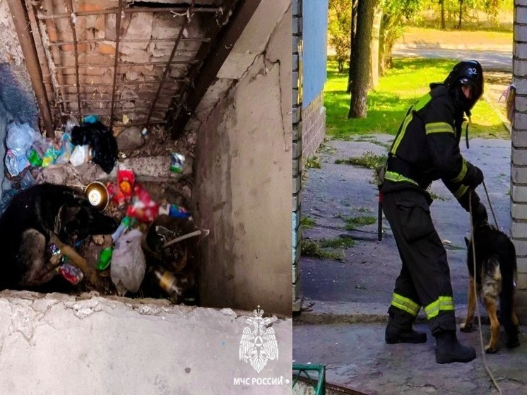 Запорожские спасатели вызволили собаку из глубокой ямы