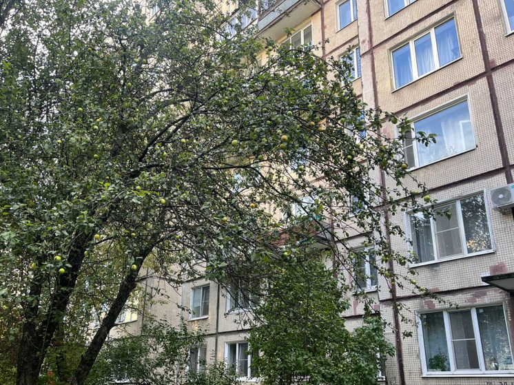 Бастрыкин обратил внимание на ненадлежащее содержание дома на Моисеева в Полярном