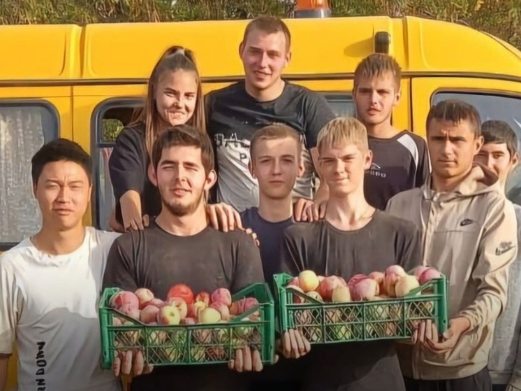 Калмыцкие яблоки прошли проверку качества