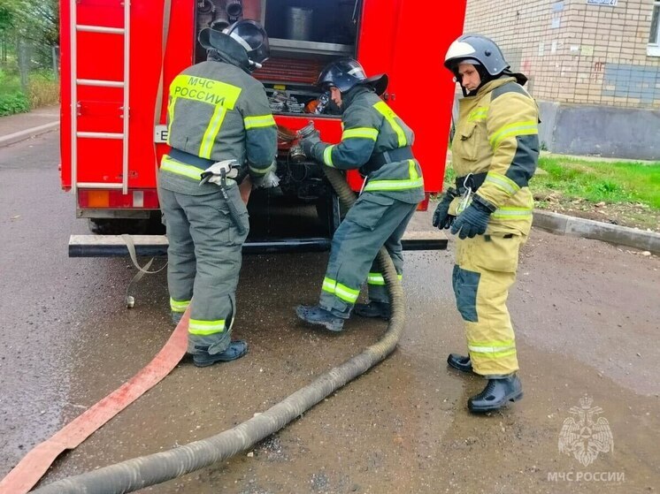 В Батецком округе спасли два жилых дома, которым угрожал пожар