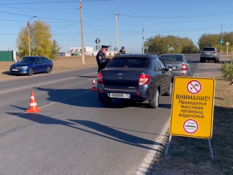 В ходе трехдневного рейда воронежская Госавтоинспекция пресекла 903 правонарушения
