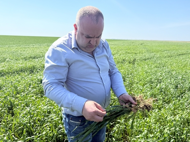 Министр сельского хозяйства Республики Крым Денис Кратюк любезно показал журналистам программы «Под сукном» «Крым 24», которая выходит еженеде свой рабочий кабинет. Воспользовались таким событием и мы, заглянув на огонек. В ненавязчивой беседе Денис Васильевич рассказал о своем любимом блюде, что перевез в кабинет с прошлой работы и портрет какой женщины висит на почетном месте.