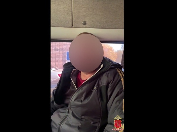 Угрозыск Петербурга задержал хитроумного администратора групп с детским порно