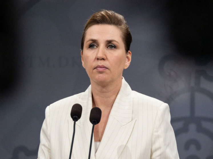 Профессор Дизен раскритиковал слова премьера Дании Фредериксен об Украине