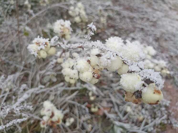 В Хакасию придут сильные ветер и дожди со снегом