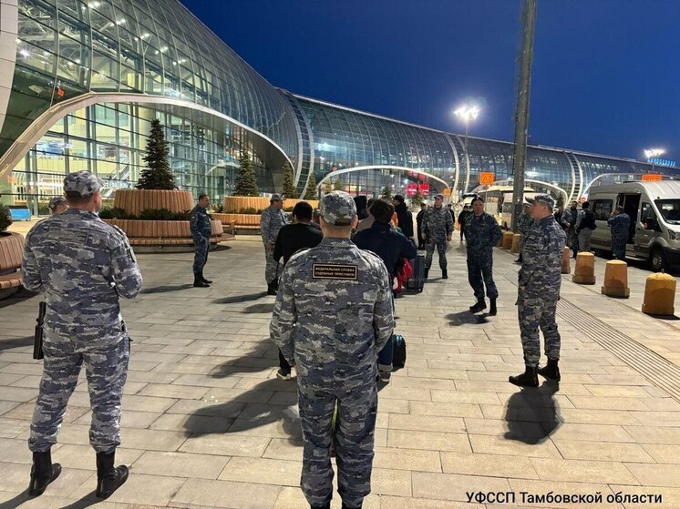 Нелегалы покинули территорию Тамбовской области: суд отправил домой 11 нарушителей миграционного закона