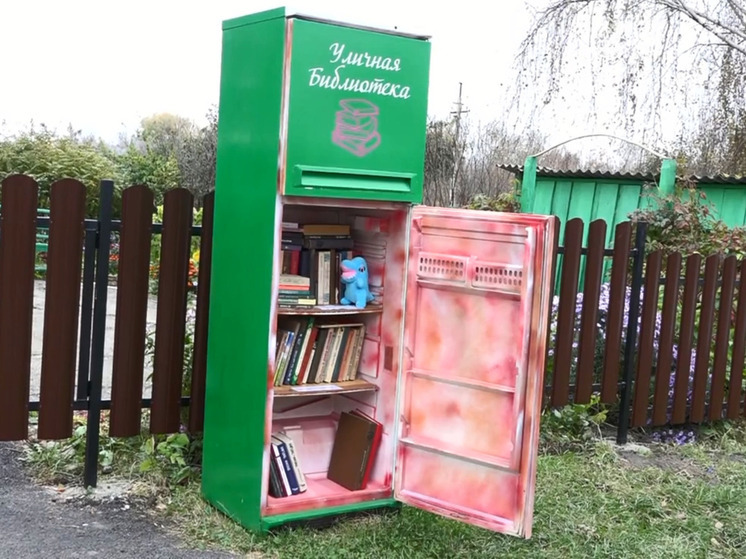 В одном из сел Алтайского края появился книжный шкаф-холодильник