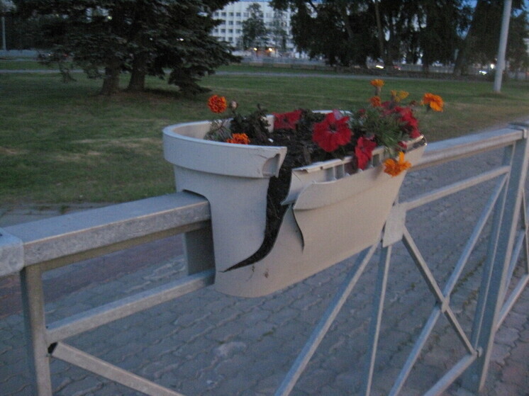 На архангелогородца, сломавшего цветники на Троицком, завели уголовку