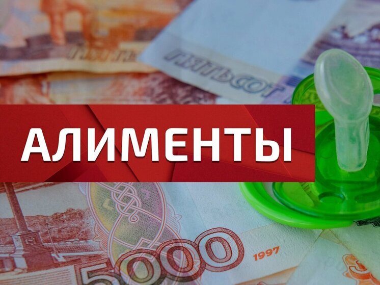Алиментщица задолжала сыну полмиллиона: её ждёт уголовная ответственность