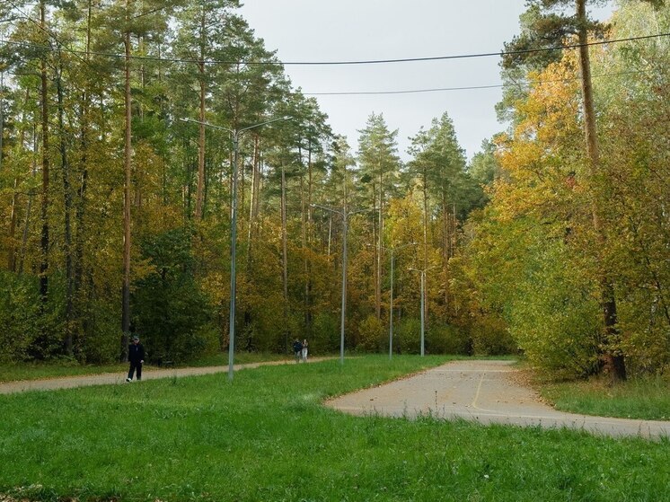 Пензенцев предупредили о ночных заморозках до –4 градусов