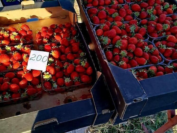 В этом году в Херсонской области провели уже 1704 ярмарки