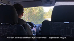 Вызов себе и природе: как в Кольском Заполярье решили выращивать клубнику