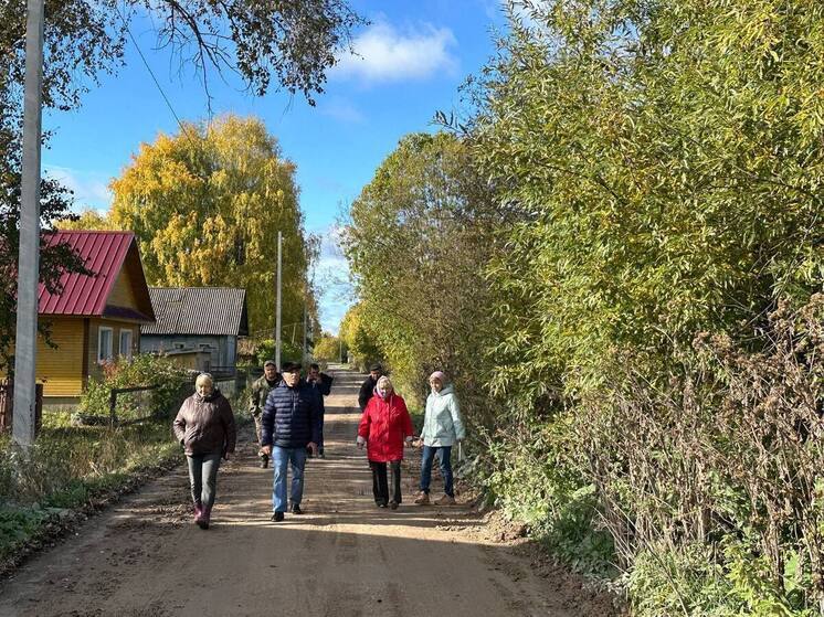 В деревне Патровская в Каргополье наконец-то стало светло