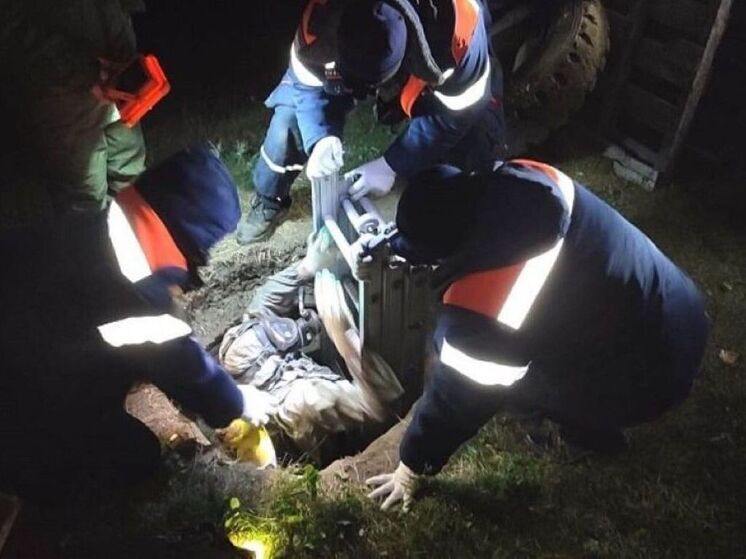 В Курской области спасатели достали из колодца канализации тело женщины